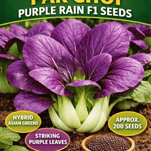 Pak Choi Purple Rain F1 Seeds