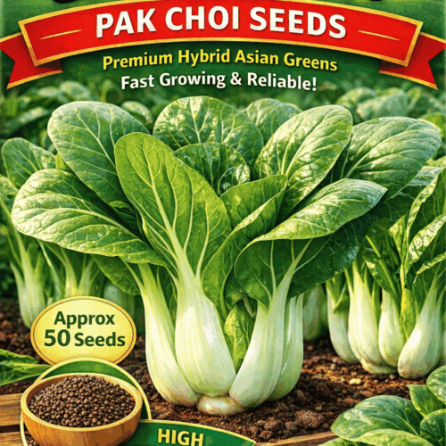 Shun Li Choi F1 Pak Choi seeds