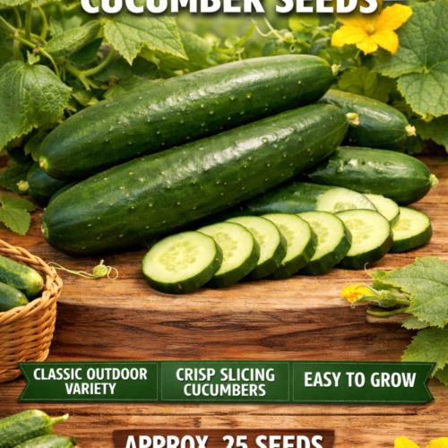 Cucumber Straight Eight Seeds