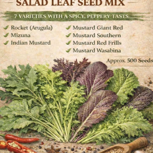 Nice and Spicy Salad Leaf Mix