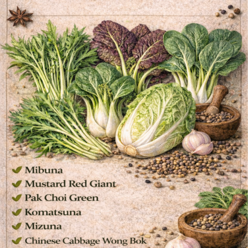 Oriental Salad Mixed