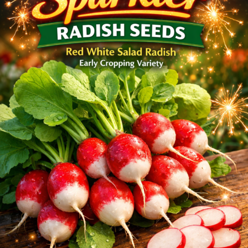 Sparkler Radish Seeds