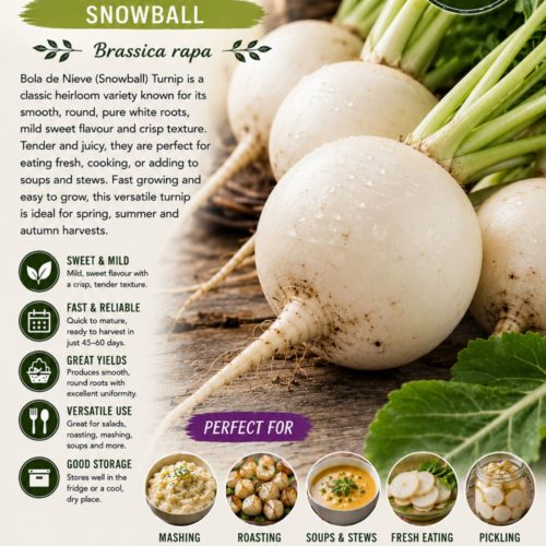 Snowball Turnip Seeds