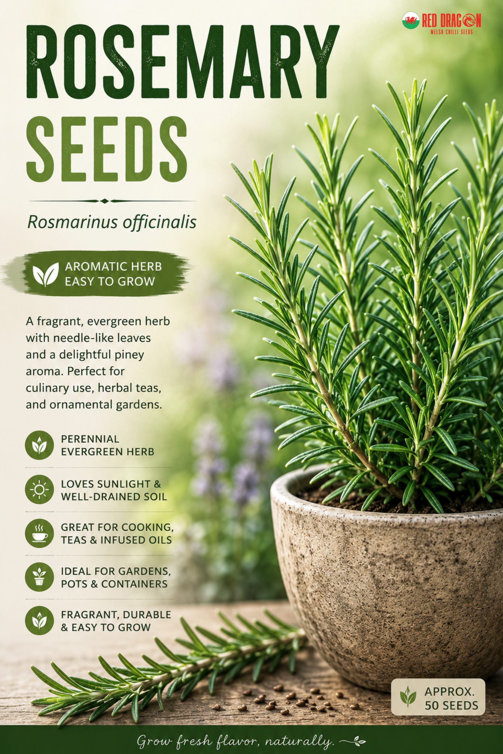 Rosemary Seeds