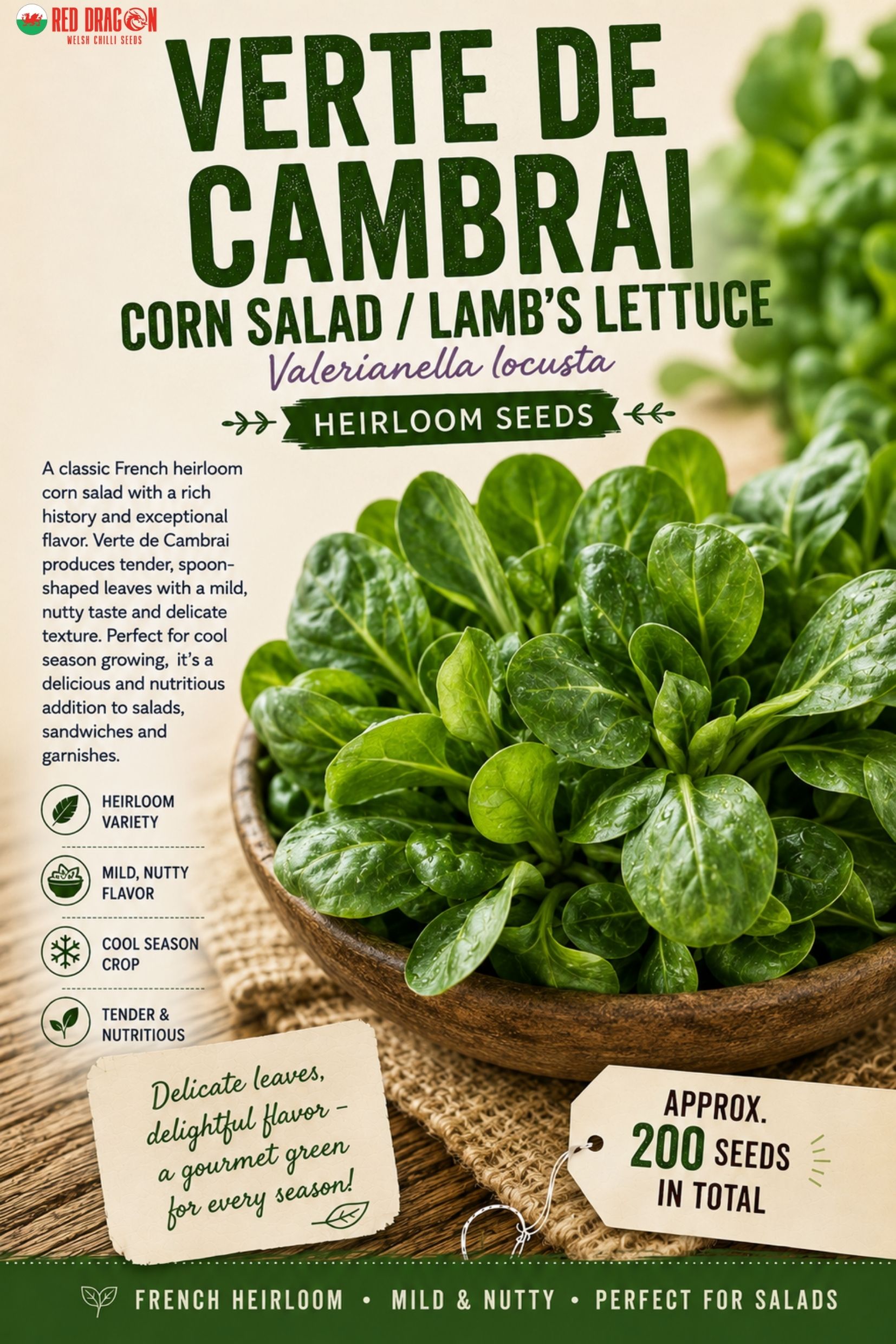 Verte de Cambrai Corn Salad / Lamb's Lettuce Seeds