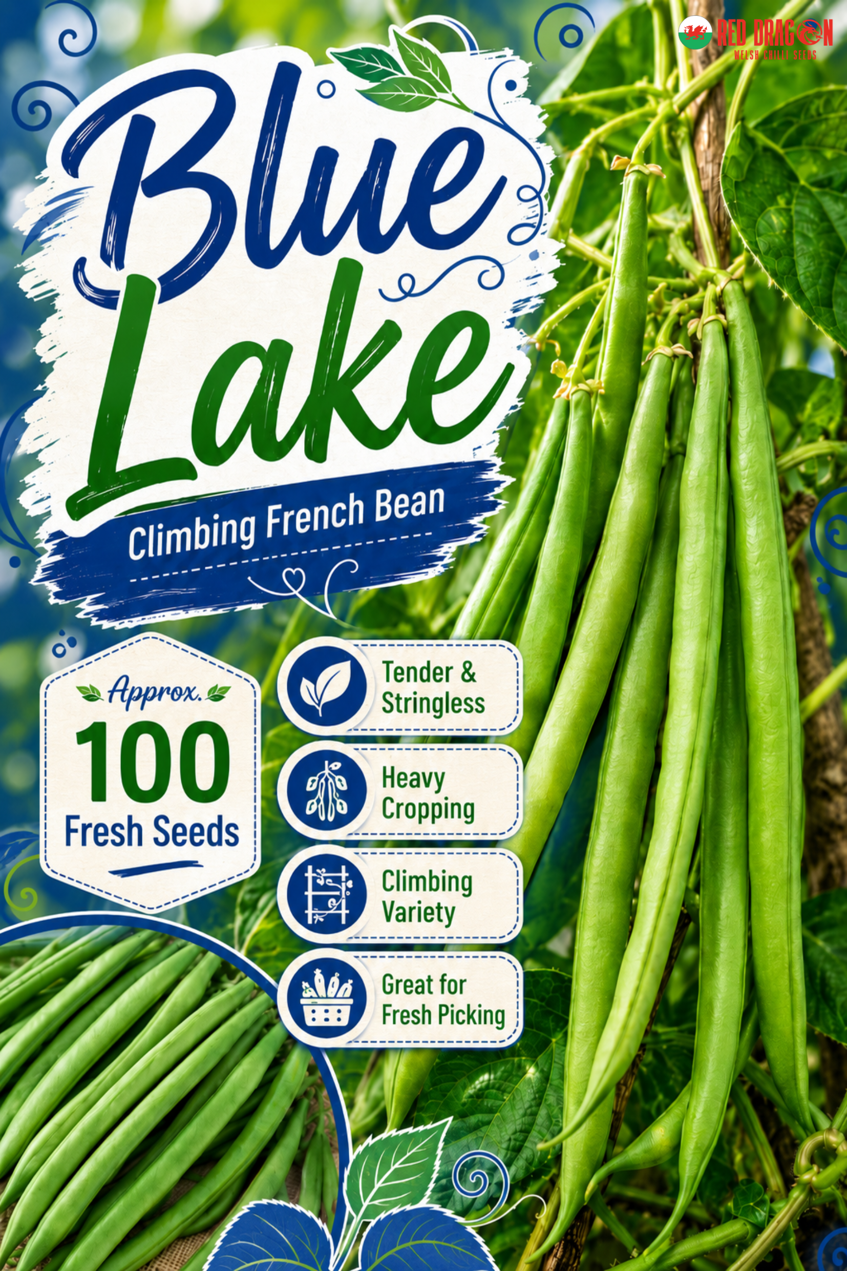Blue Lake Climbing French Bean Seeds
