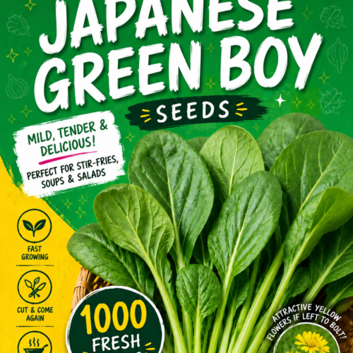 Japanese Green Boy Komatsuna Seeds