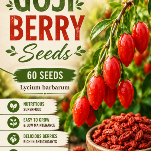 Goji Berry Seeds