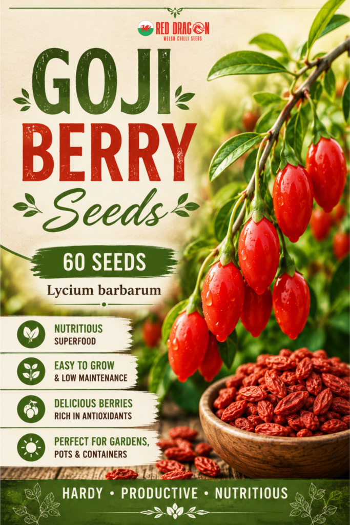 Goji Berry Seeds - Superfood Berry Seeds - Red Dragon Seeds
