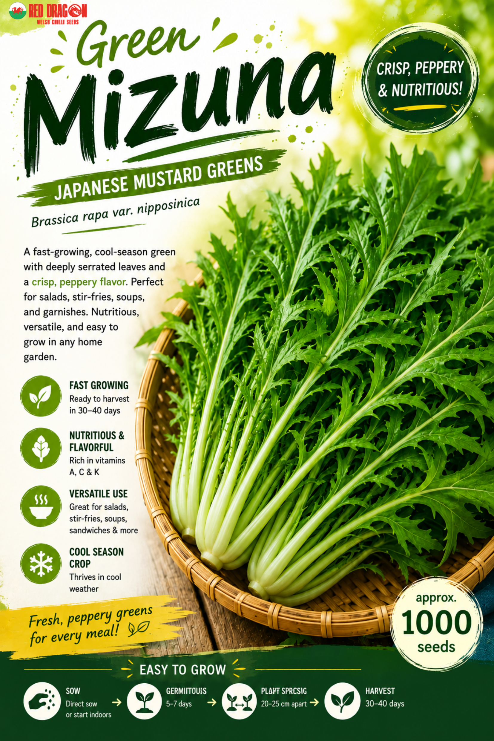 Green Mizuna Seeds