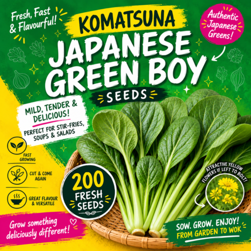 Komatsuna Japanese Green Boy Seeds 200 | Red Dragon Seeds