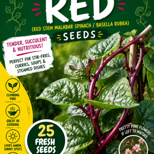 Malabar Spinach Red Seeds