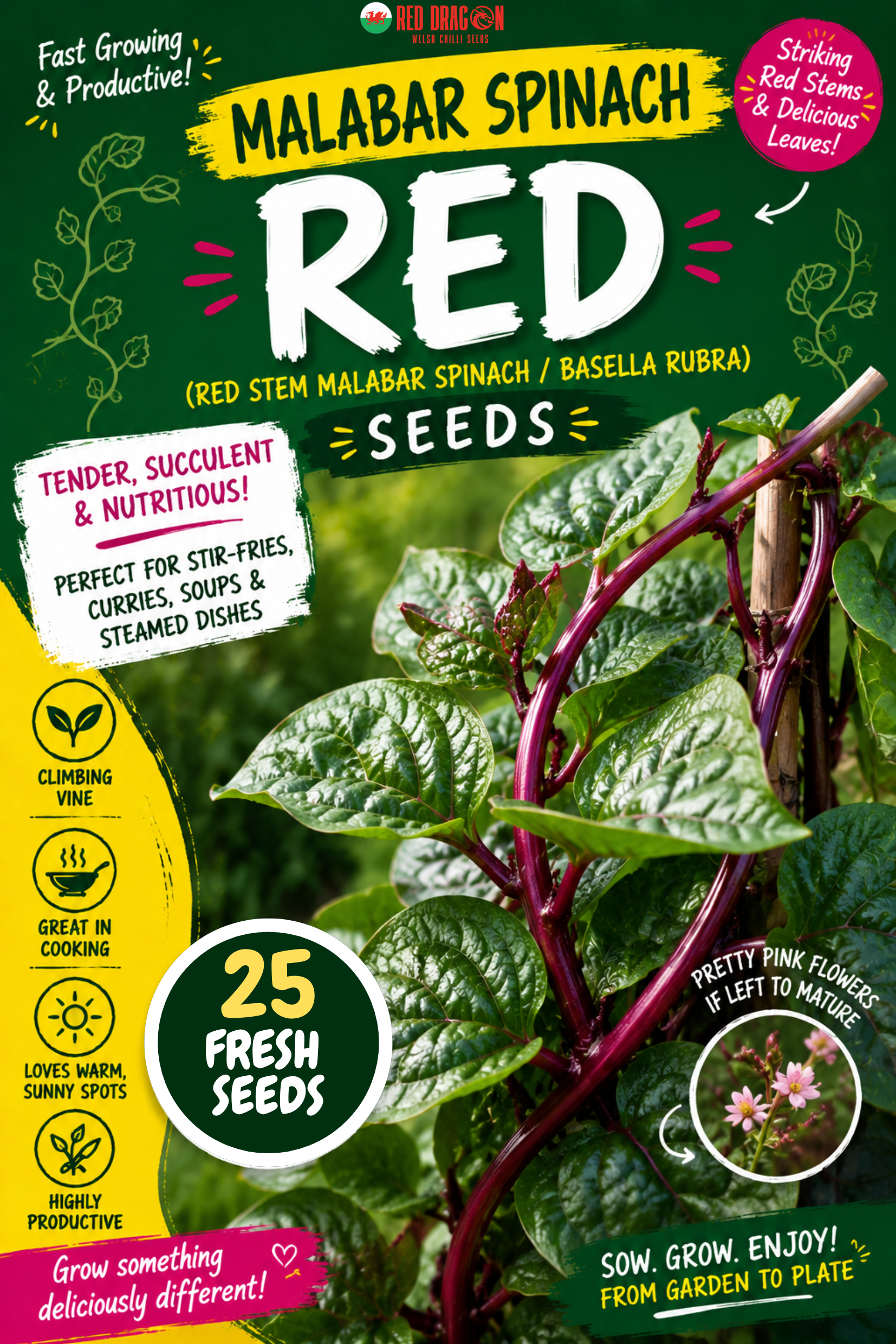 Malabar Spinach Red Seeds