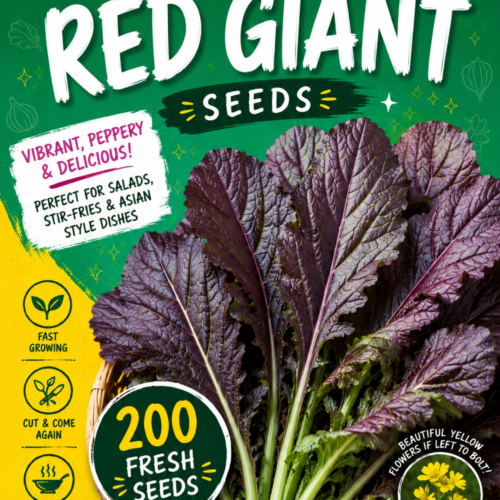 Mustard Red Giant Seeds