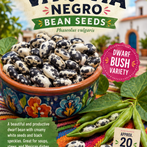 Vaquita Negro Bean Seeds