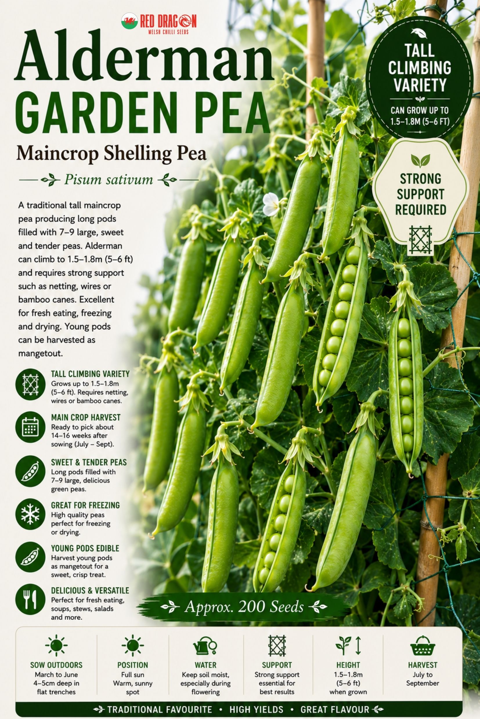 Alderman Garden Pea Seeds