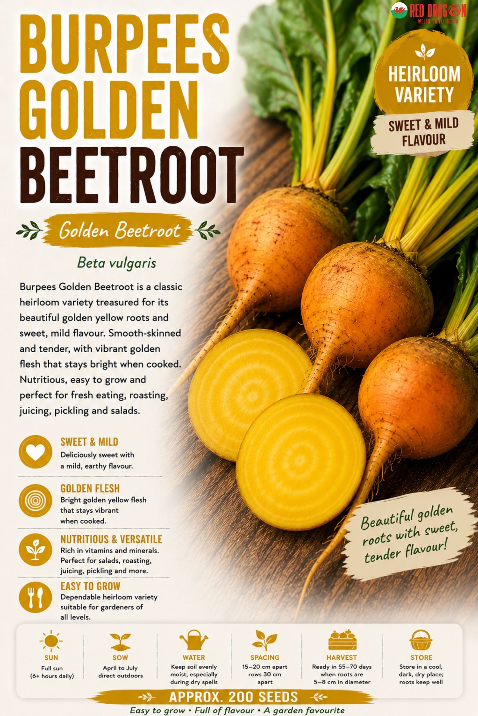 Burpees Golden Beetroot Seeds