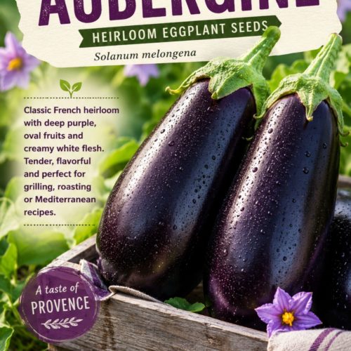 De Barbentane Aubergine Seeds