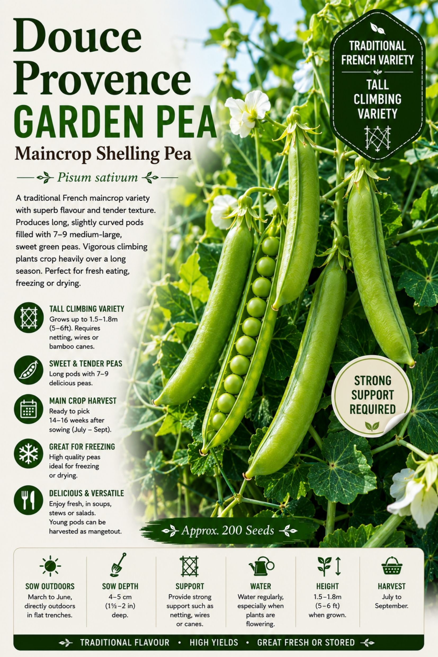 Douce Provence Garden Pea Seeds