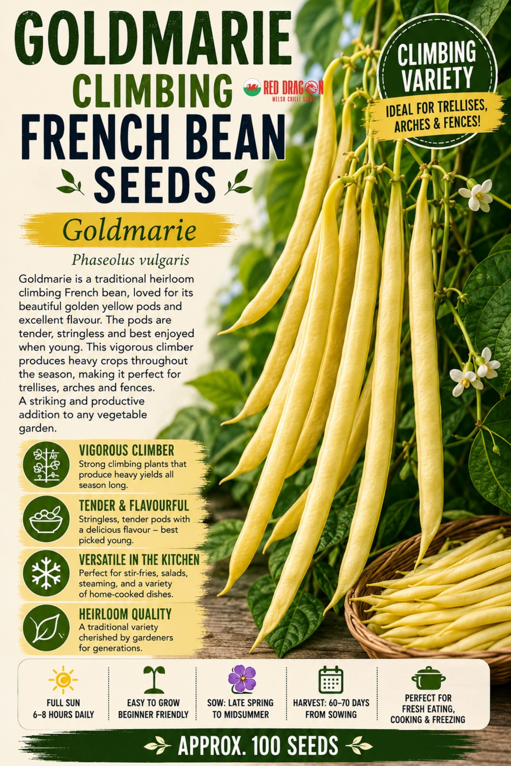 Goldmarie Climbing French Bean Seeds