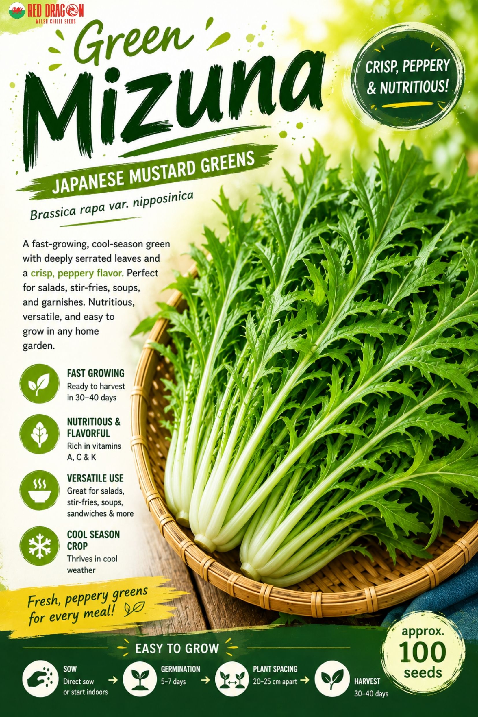 Green Mizuna Seeds