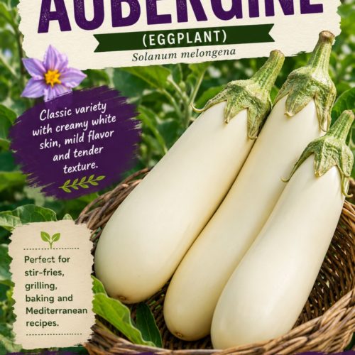 Halflong White Aubergine Seeds