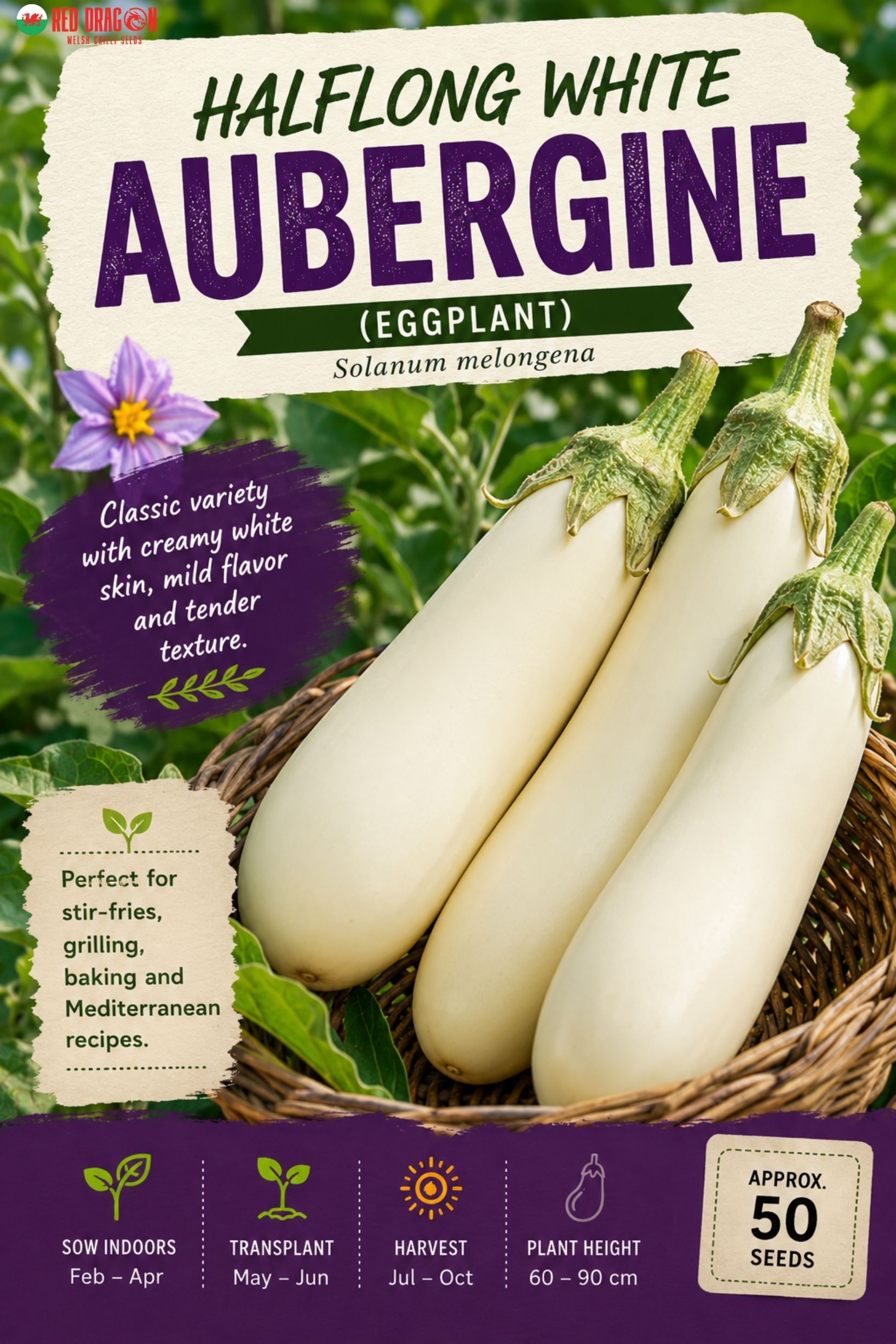Halflong White Aubergine Seeds