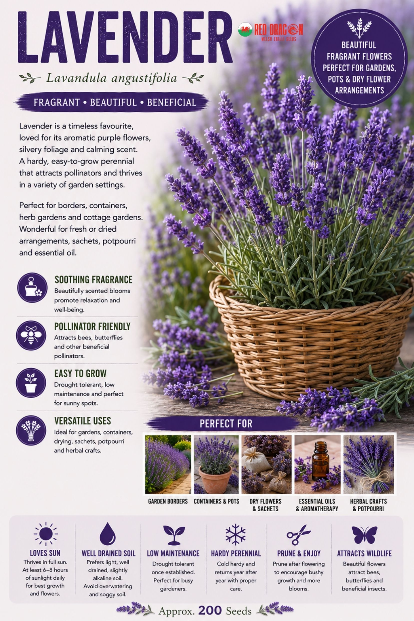 Lavender Seeds