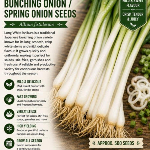 Long White Ishikura Bunching Onion - Spring Onion Seeds