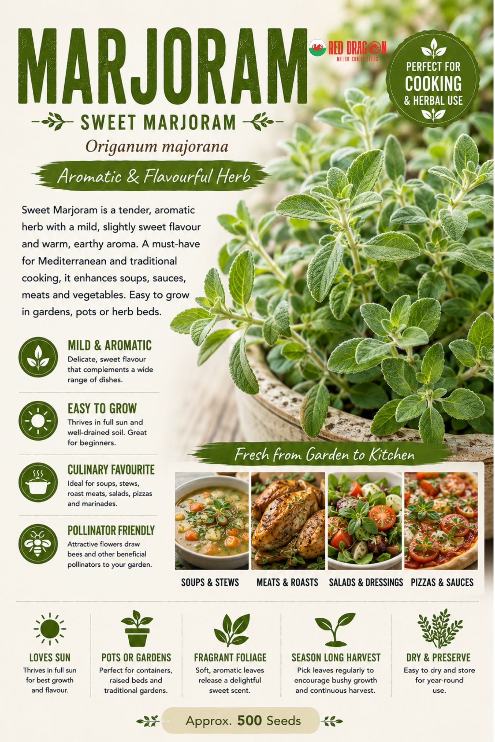 Marjoram Seeds