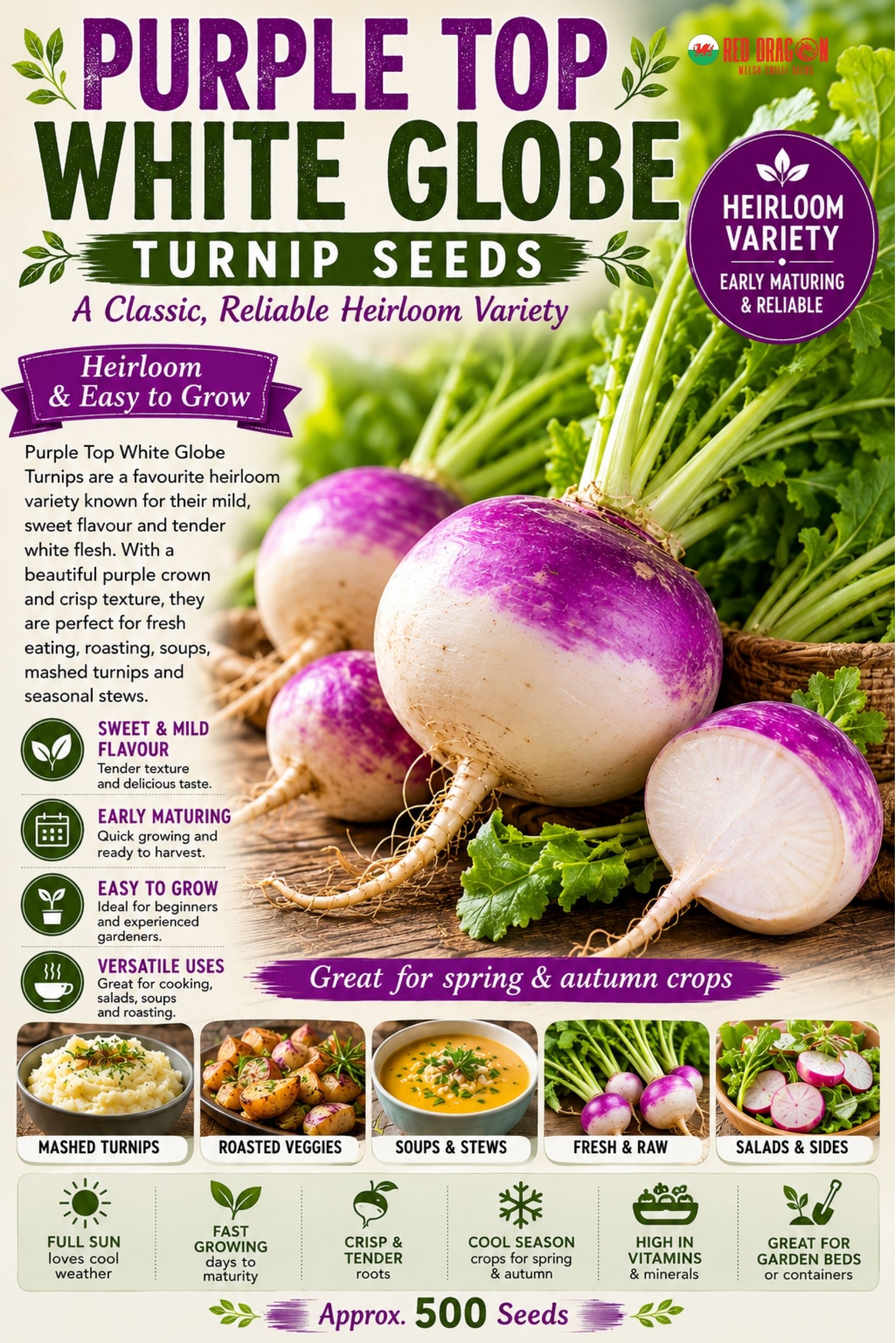 Purple Top White Globe Turnip Seeds