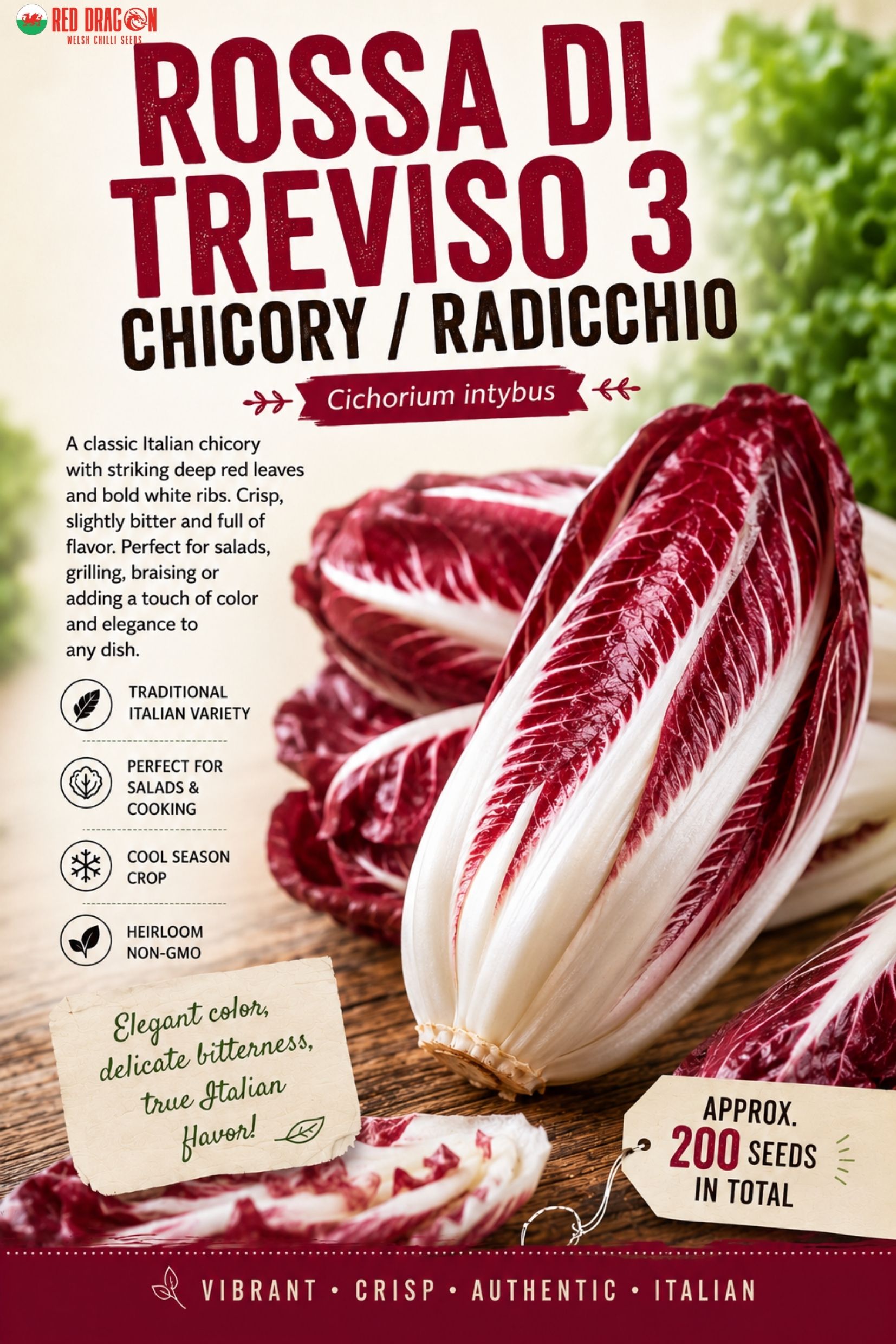 Rossa di Treviso 3 Chicory Seeds