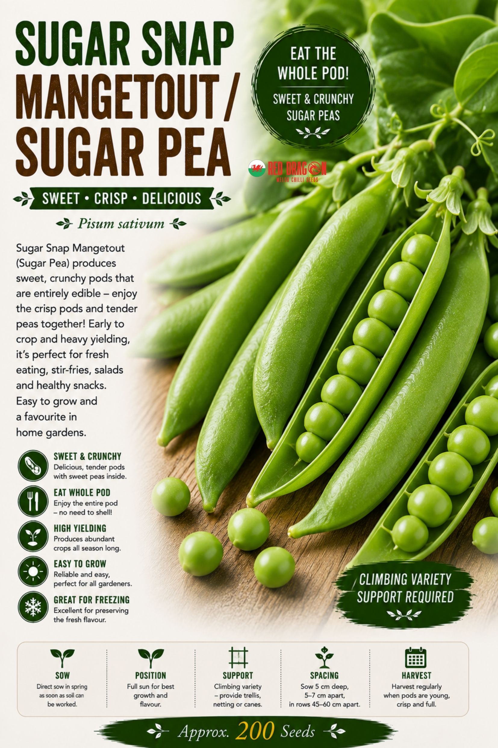 Sugar Snap Mangetout - Sugar Pea Seeds