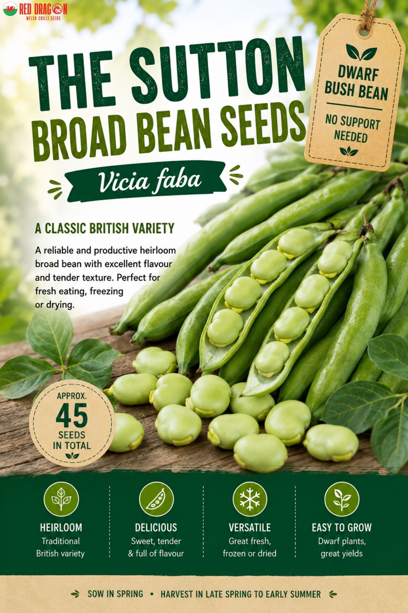 The Sutton Broad Bean Seeds