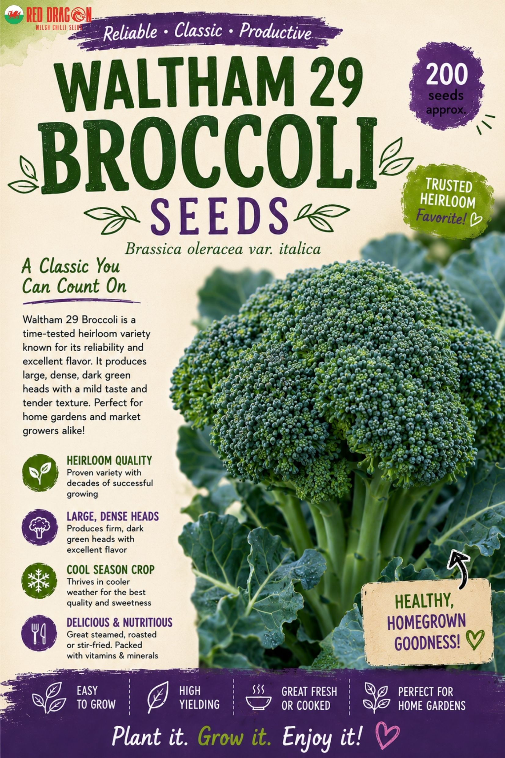 Waltham 29 Broccoli Seeds