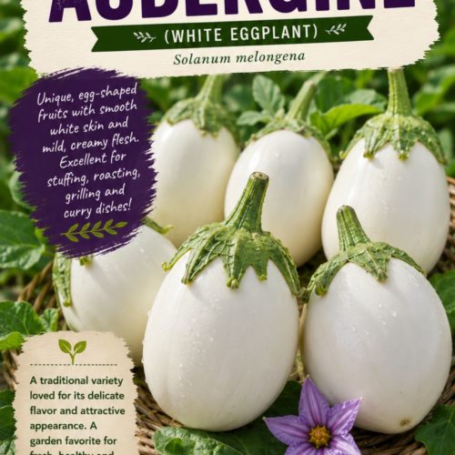 White Egg Aubergine Seeds