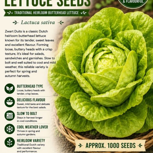 Zwart Duits Lettuce Seeds