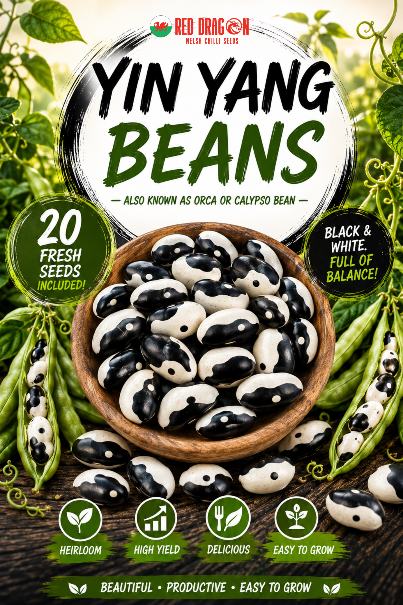 Yin Yang Bean Seeds