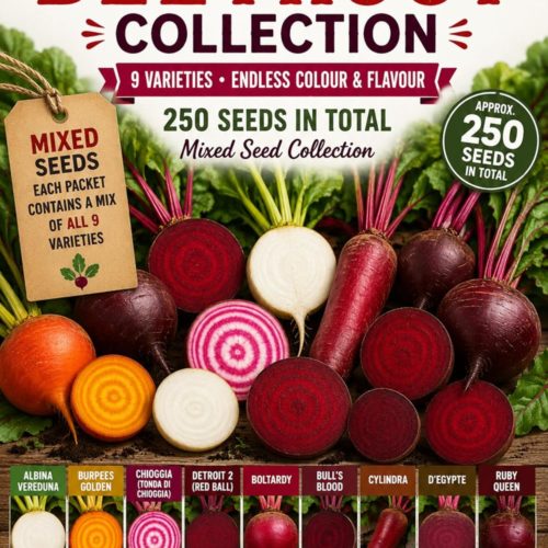 Ultimate Beetroot Collection Seeds for Growing – 250 Mixed Seeds (9 Varieties)