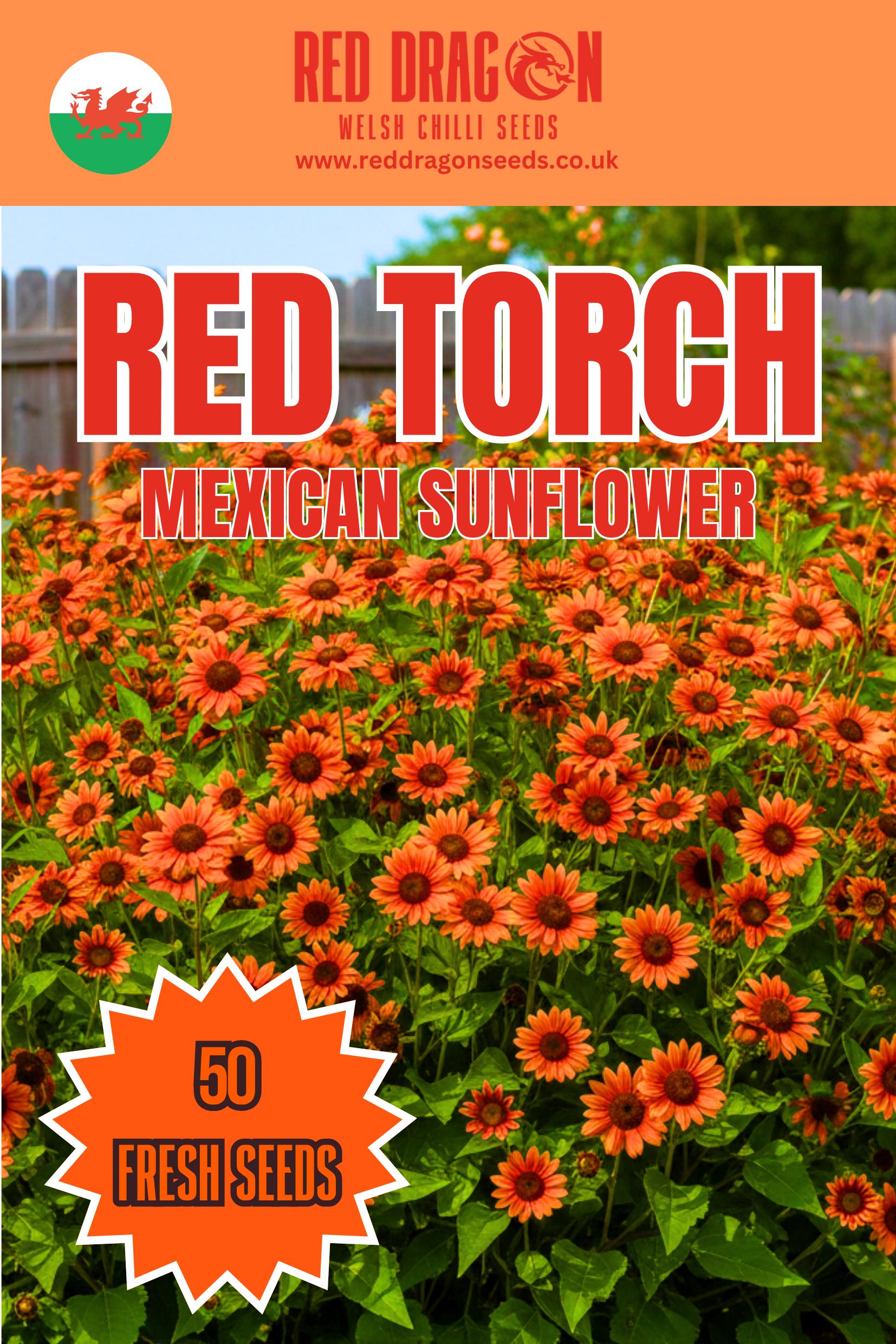 Red Torch Sunflower Seeds