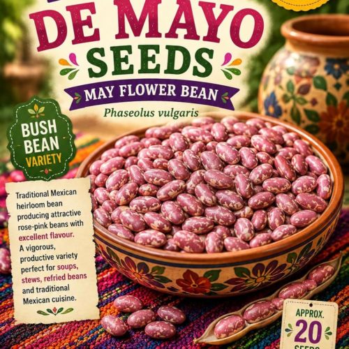 Flor De Mayo Beans