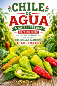 Chile De Agua Chilli Seeds
