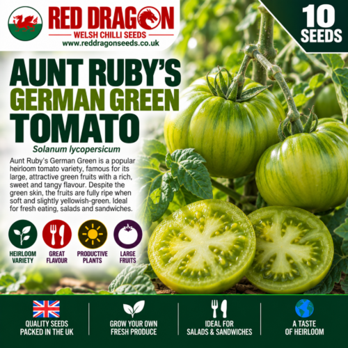 Aunt Ruby's German Green Tomato Seeds