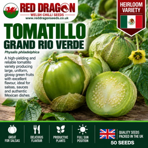 Grand Rio Verde Tomatillo Seeds