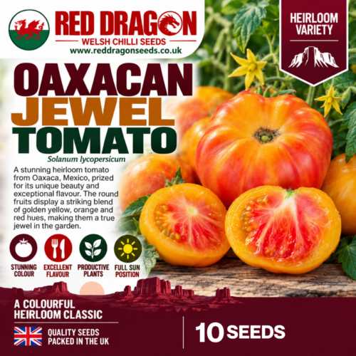 Oaxacan Jewel Tomato Seeds