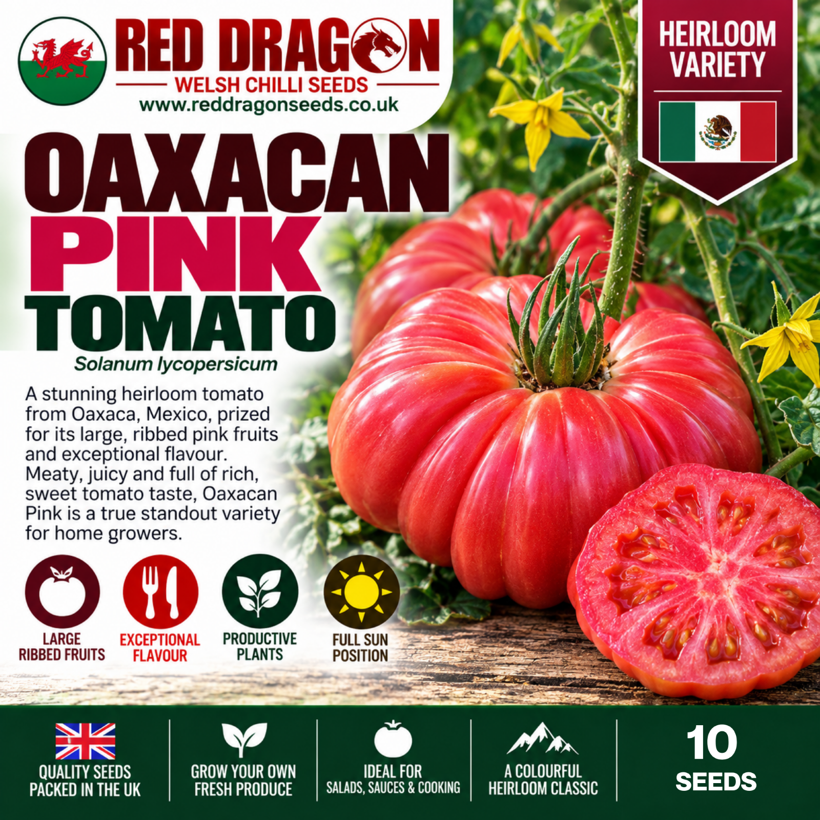 Oaxacan Pink Tomato Seeds