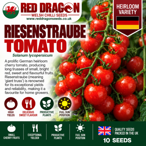 Riesentraube Tomato Seeds