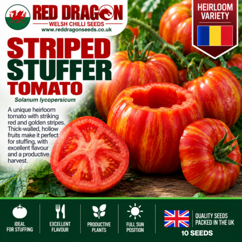 Striped Stuffer Tomato Seeds