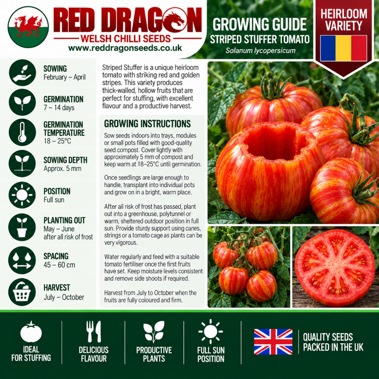 Striped Stuffer Tomato Seeds - Image 2