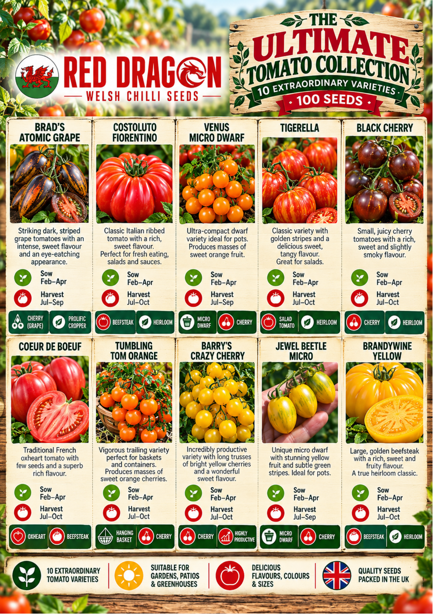 Ultimate Tomato Seed Collection – 10 Extraordinary Varieties - Image 3